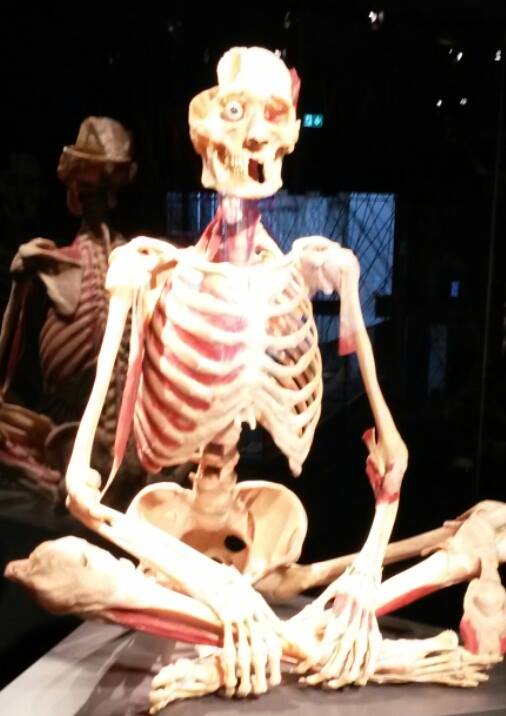 13417418_10154310642343885_4607658487497188565_n