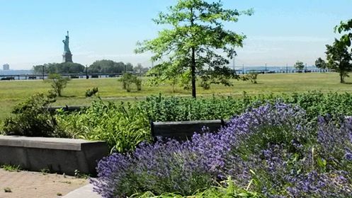 13419088_10154307975743885_3770779236649446951_n