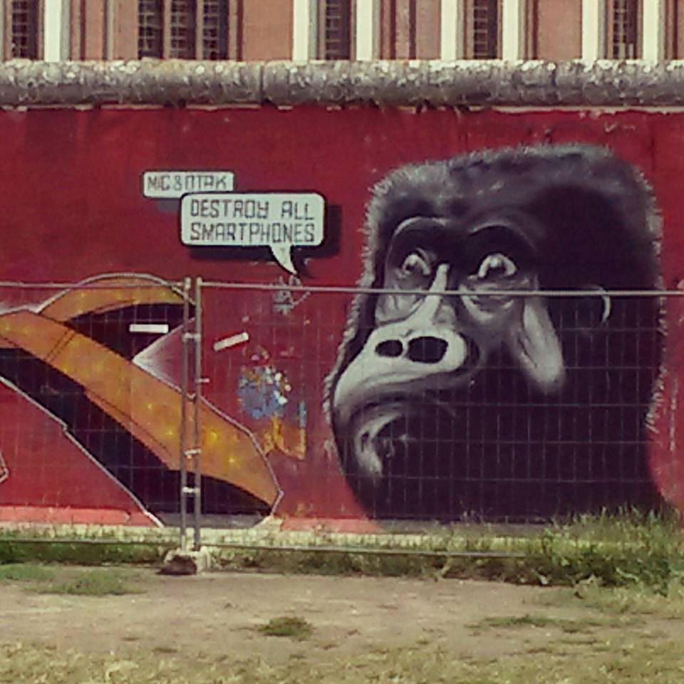 13423872_10154317809598885_5087457038570390713_n