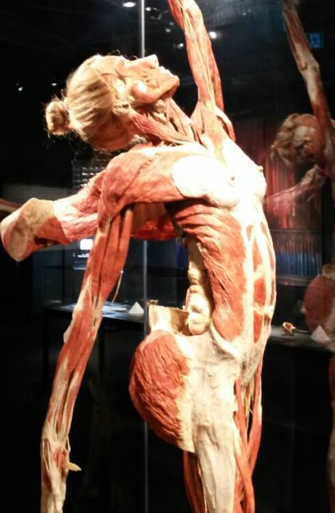 13423990_10154310642643885_3876079502465914341_n