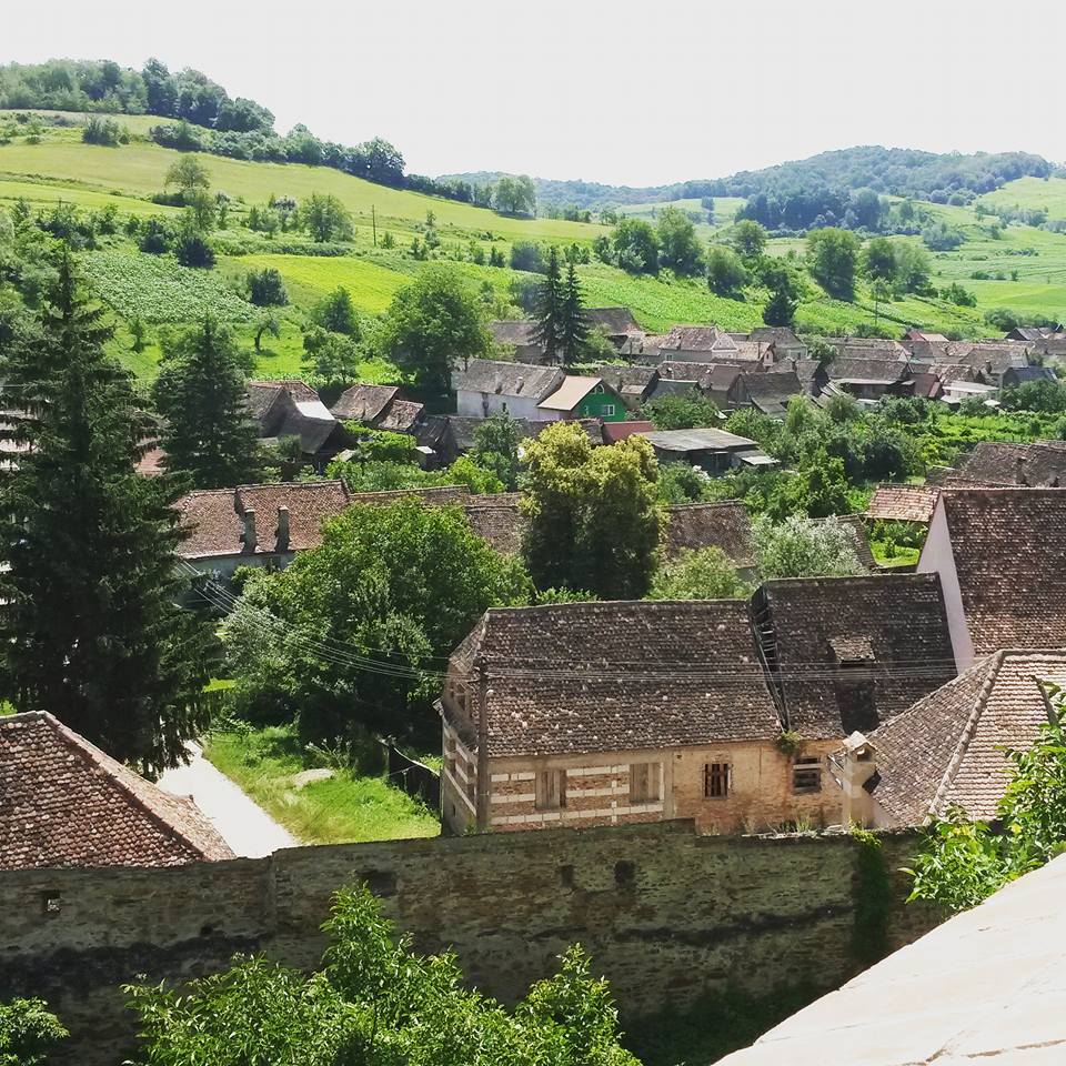 13439186_10154333930033885_4343088092430457676_n