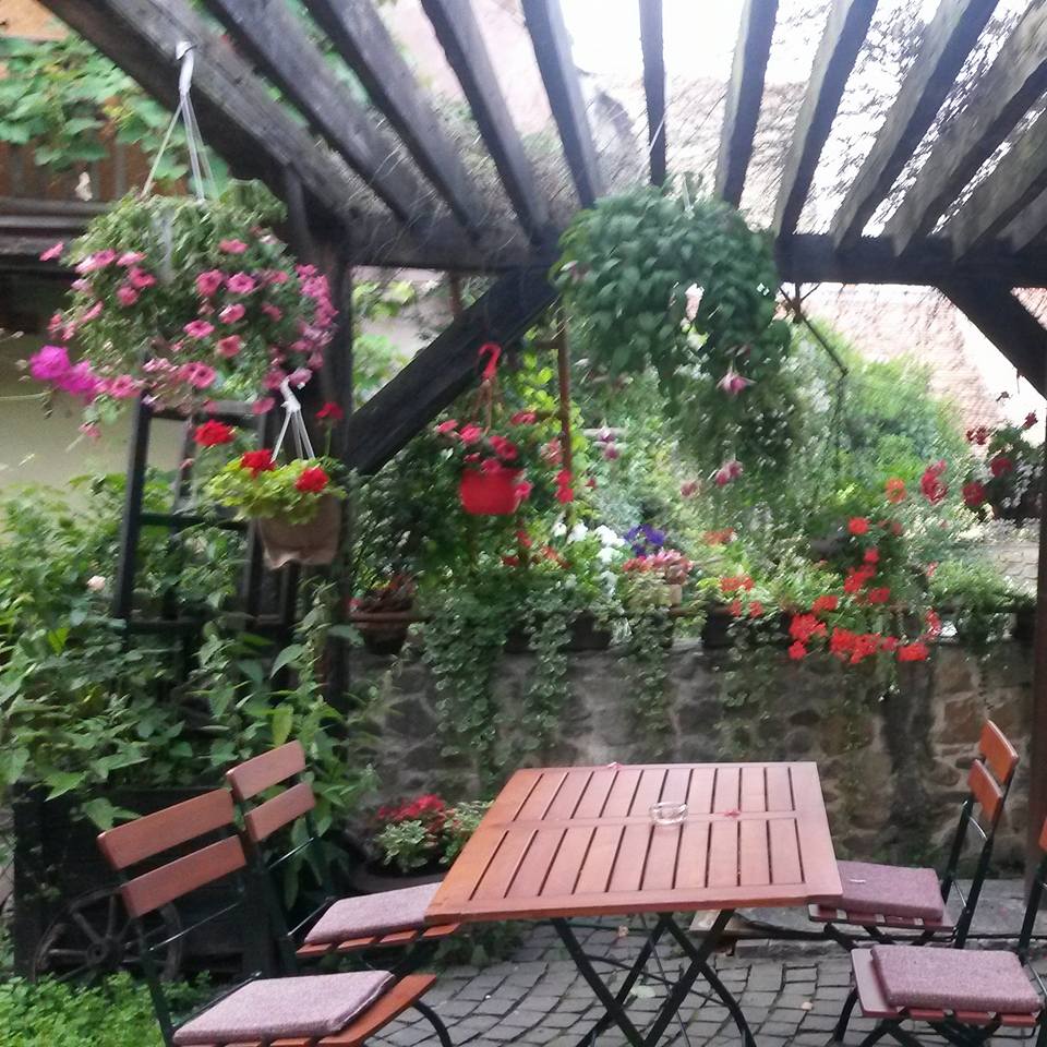 13466535_10154334587163885_6806606526118043122_n