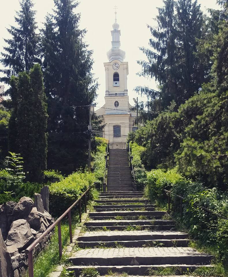 13501877_10154330894398885_2194122995237159667_n