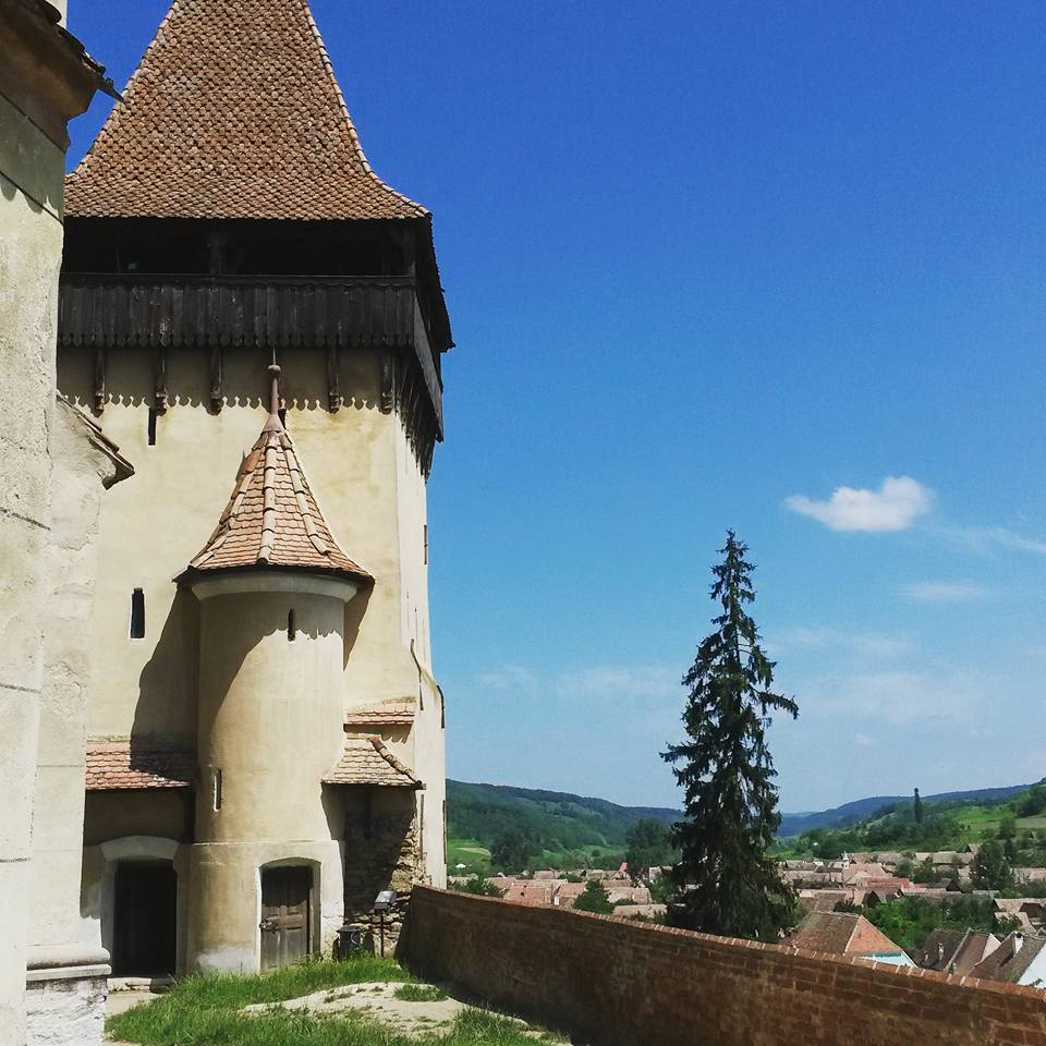 13528991_10154333931123885_7780207161546720291_n