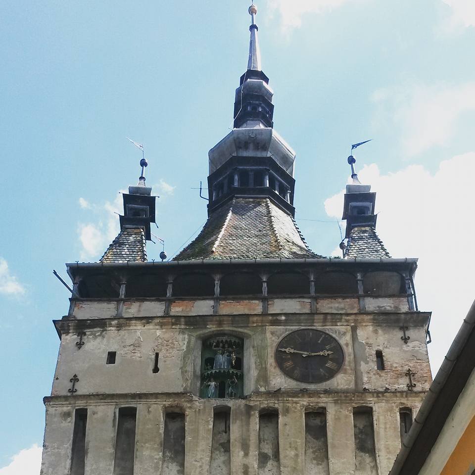 13533137_10154334066593885_4399814578010543353_n