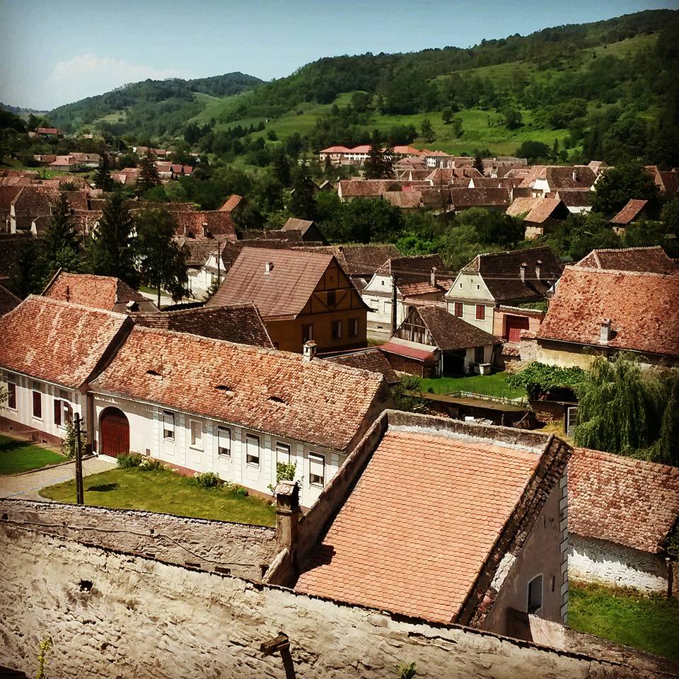 13537796_10154333930933885_6824950969975287658_n