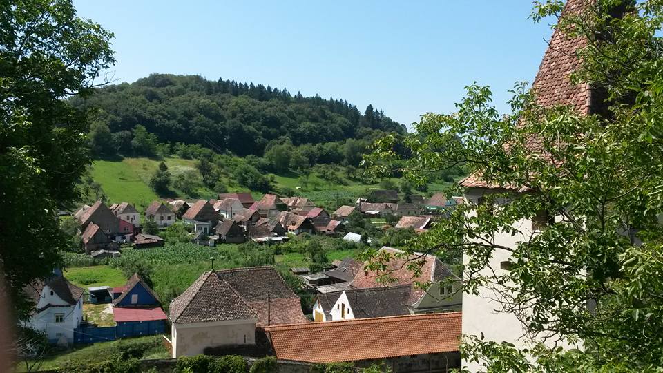 13728966_10154387481408885_716567176775482082_n