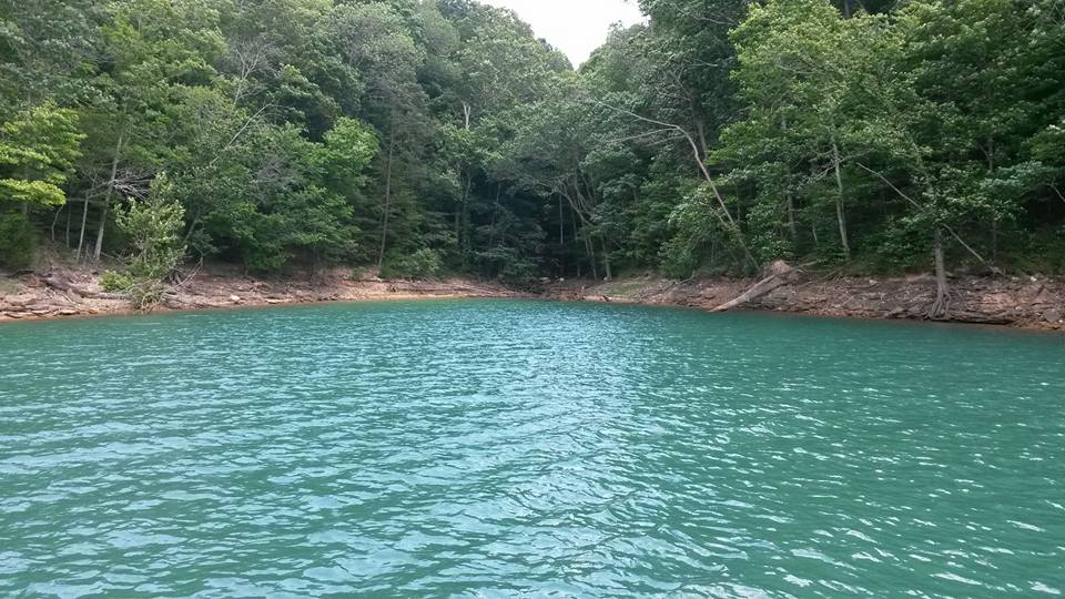 13902831_10154433480923885_504599578763405637_n