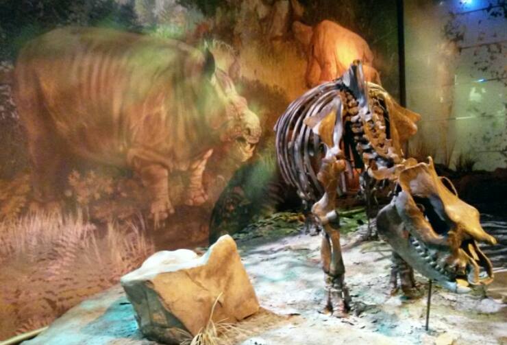 14022357_10154462884033885_531054989783994936_n