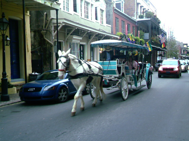 New Orleans Memories & Fish Fry Nights at Saint Luke’s