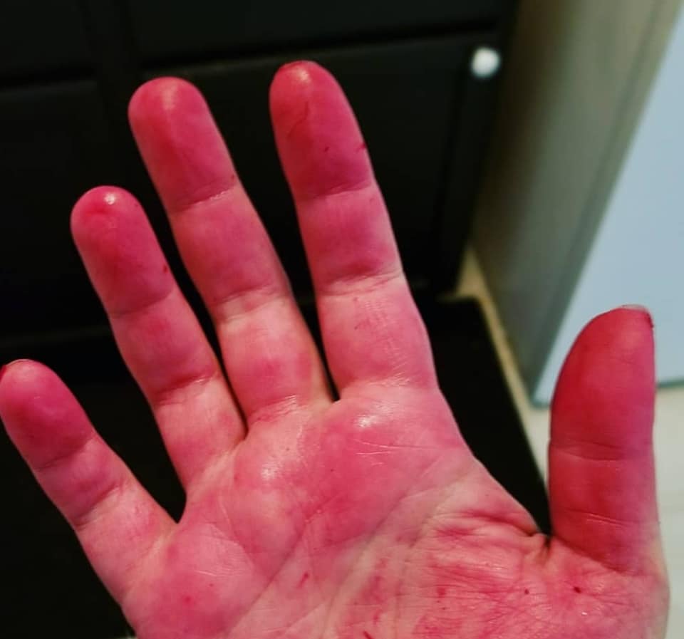 64407369_10157516935638885_7996132037360615424_n