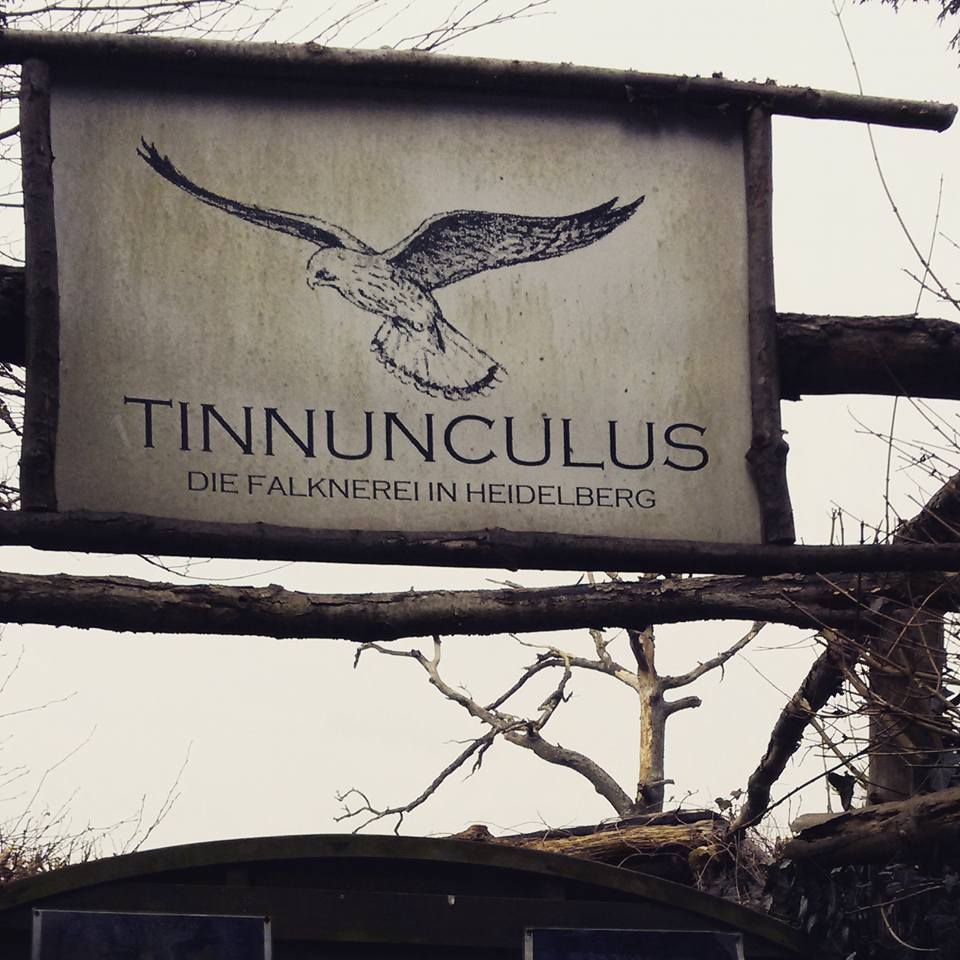 16507855_10155047439343885_1247228082541897447_n