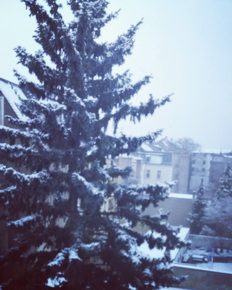 16508601_10155052212063885_104053640237321486_n