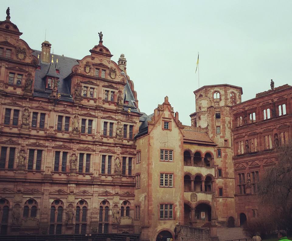 16602760_10155047437288885_3921450857805768054_n