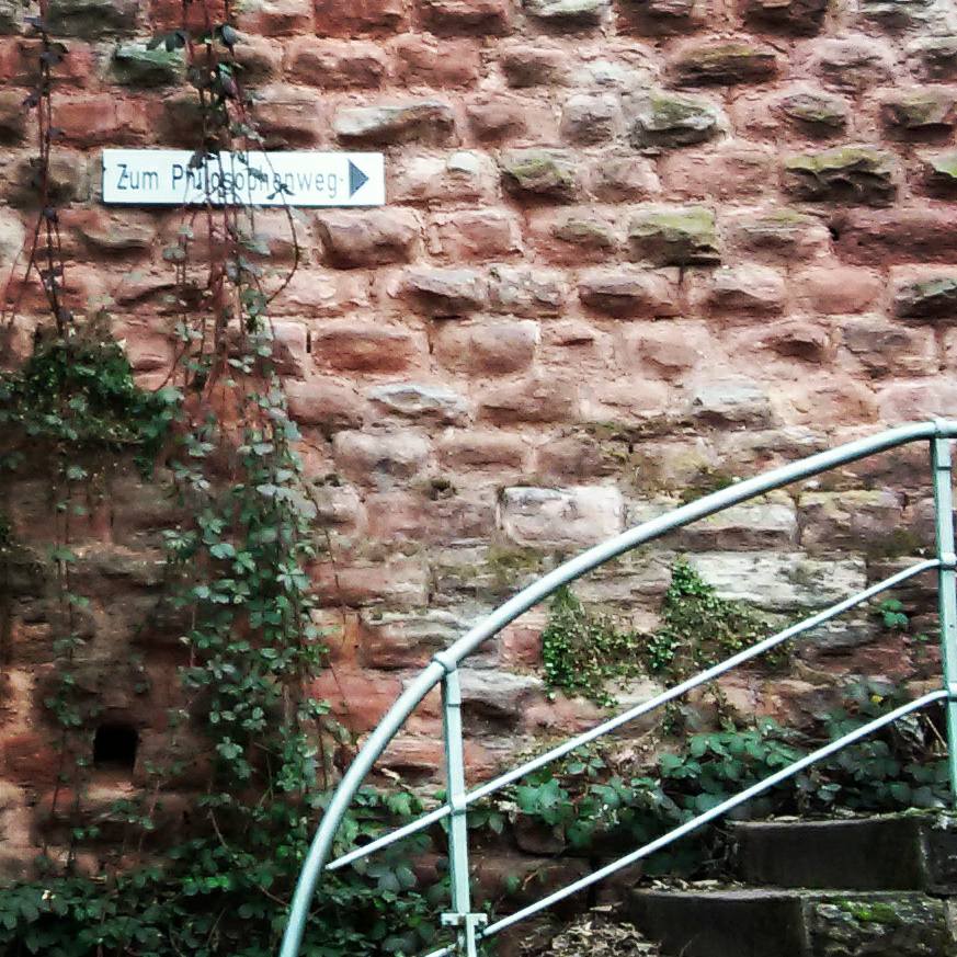 16649074_10155047440888885_5731061569514260707_n