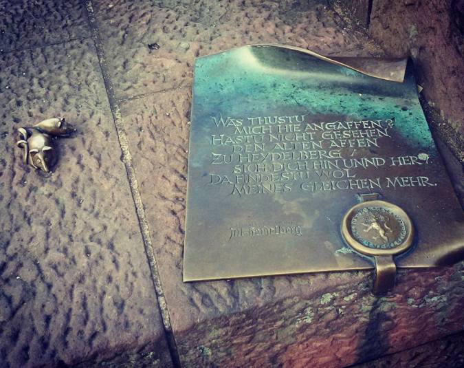 16649147_10155044896058885_3214732661773857762_n