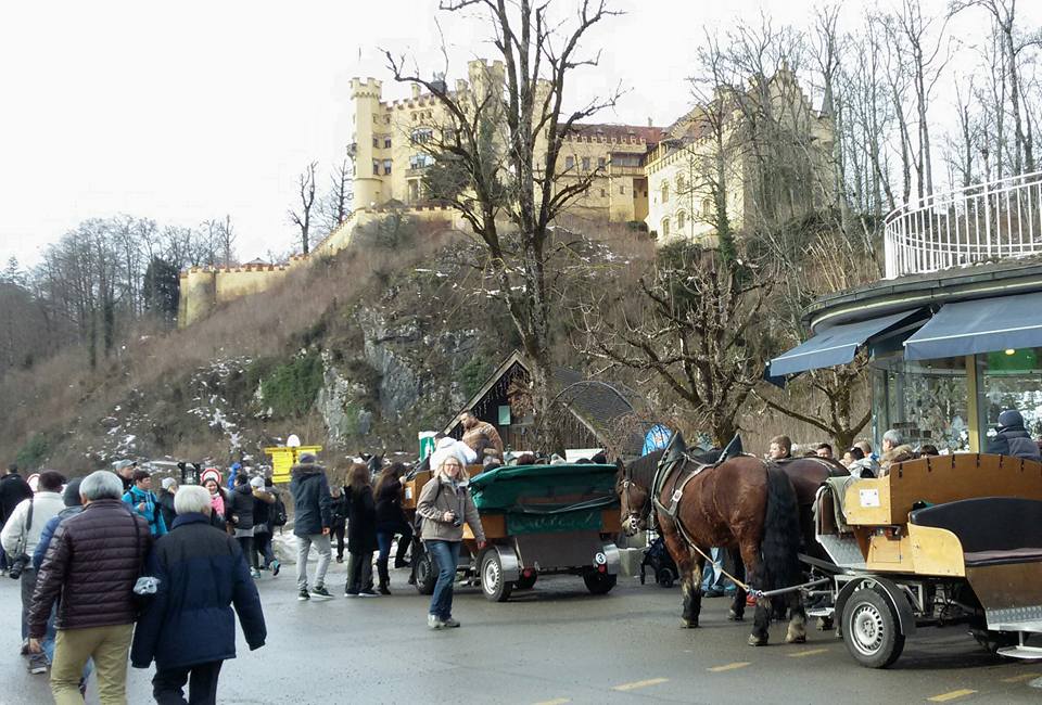 16807729_10155080302493885_8809446132647348022_n