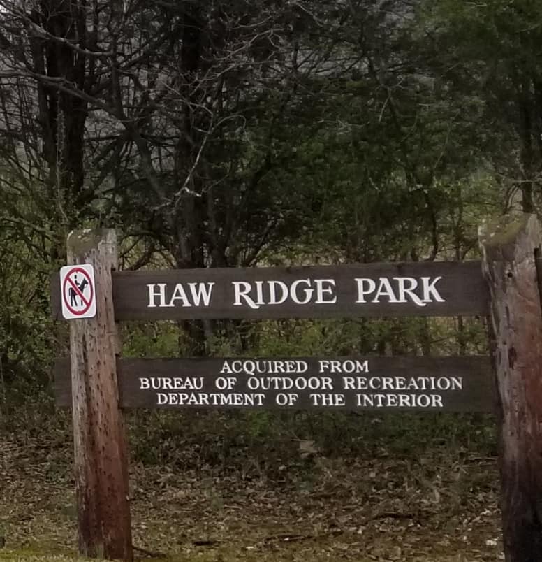 29342955_10156326493123885_7685229052839329792_n