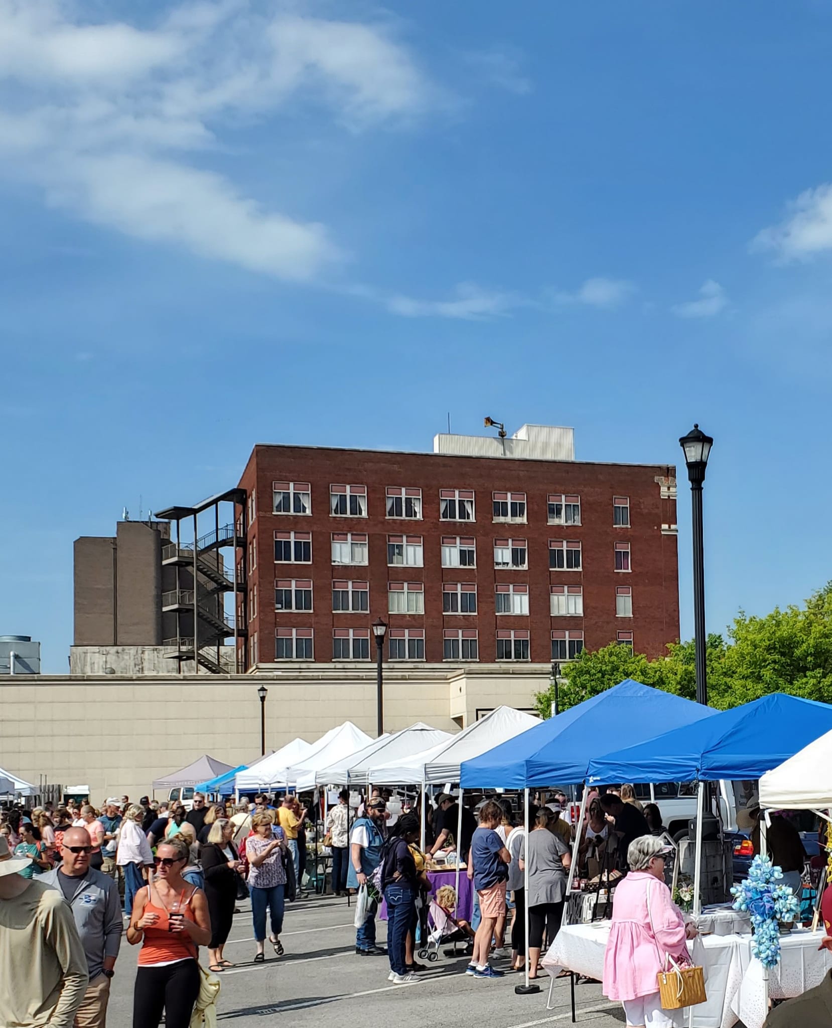 279617207_478778694024909_5261132465578432275_n