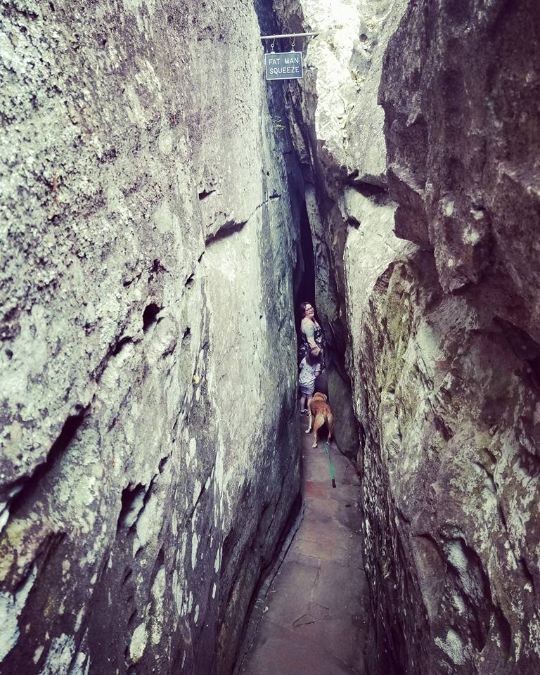 21463171_10155789468648885_1546341113737309140_n