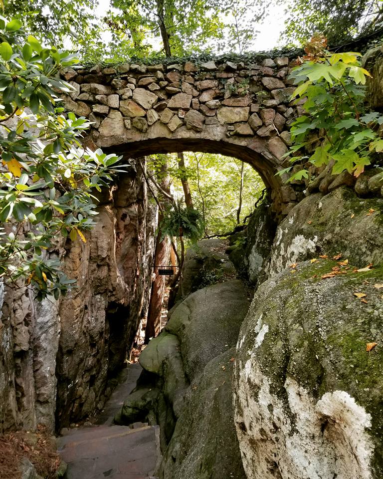 21557629_10155789467688885_4367881656136174402_n