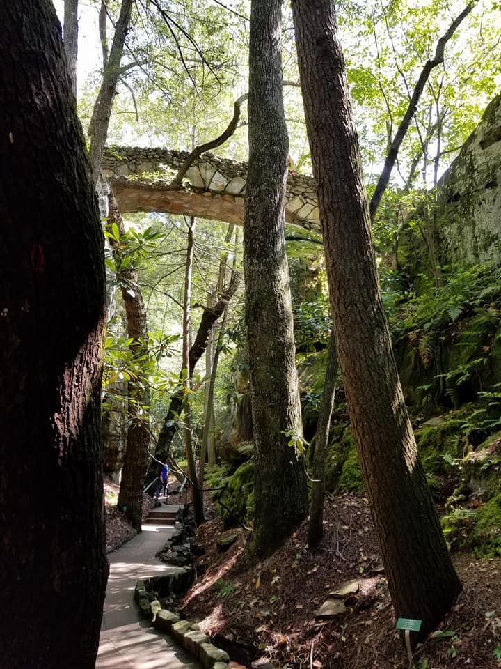 22046387_10155809988508885_5289427743385427907_n