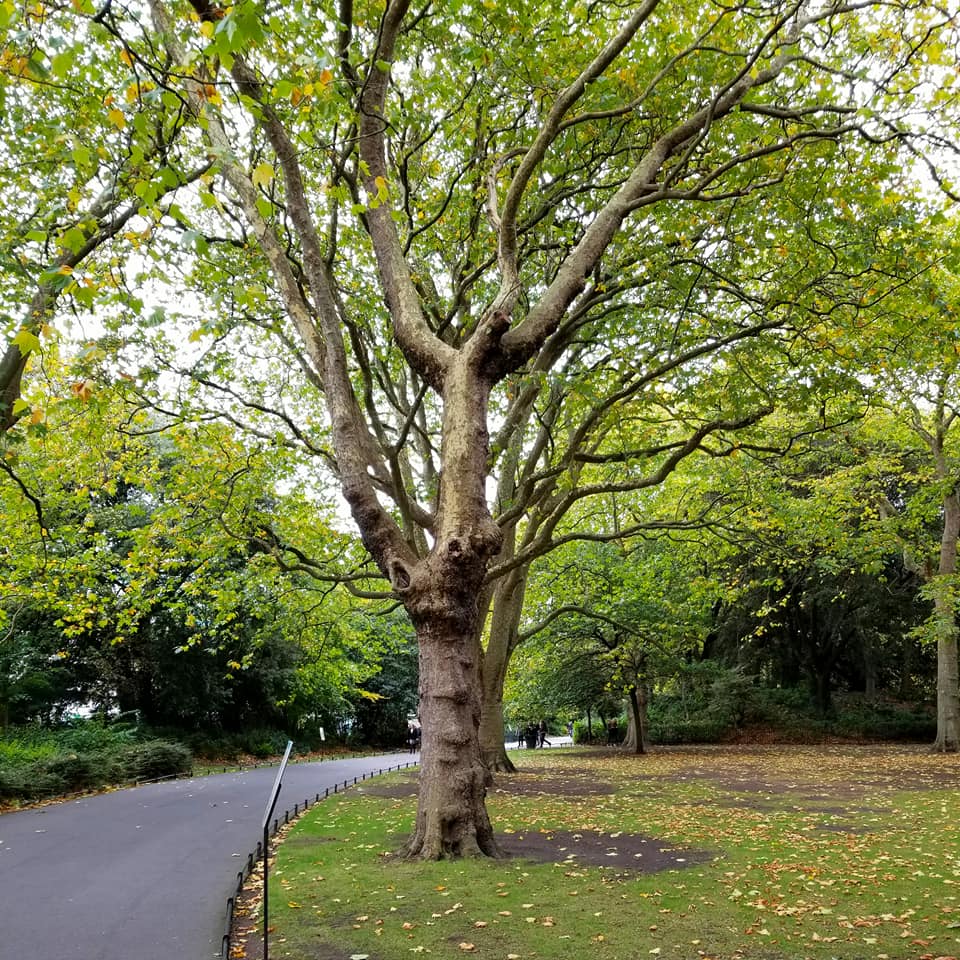 22366479_10155863772138885_8714952014674384288_n