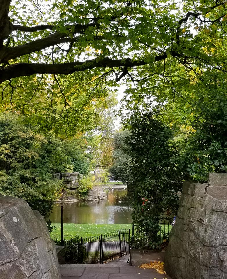 22448124_10155863772358885_7097974228391710379_n