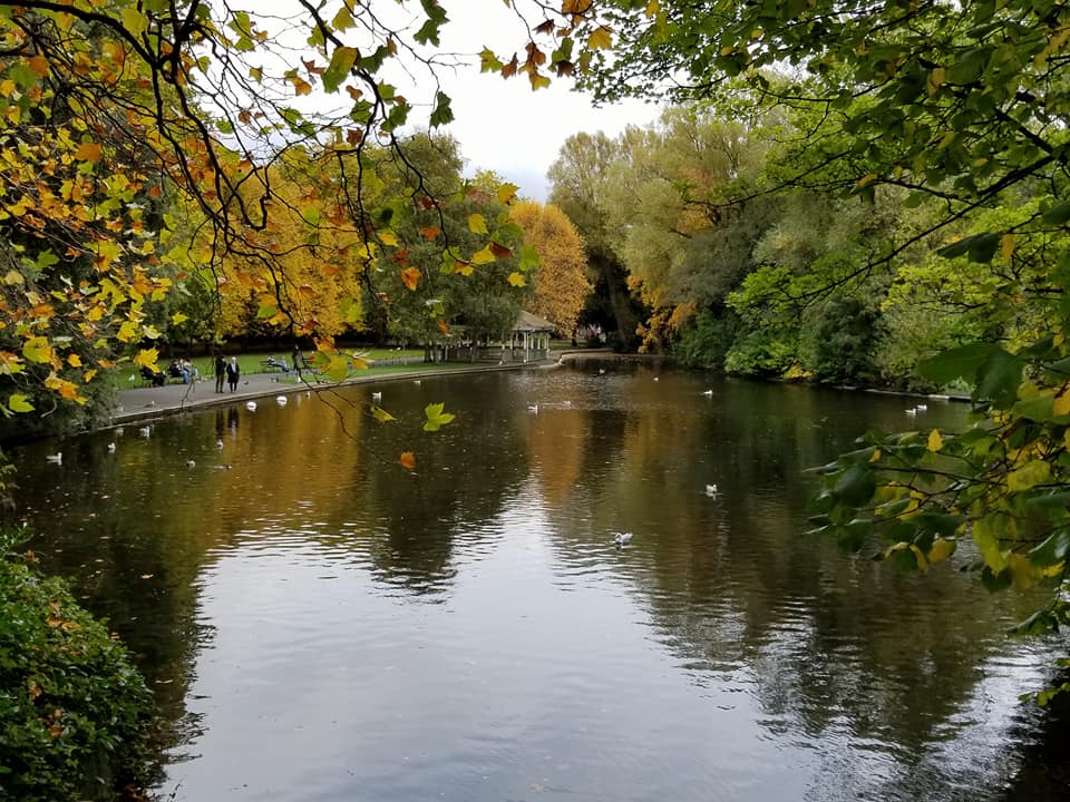 22539865_10155888436723885_7921691685005413296_n