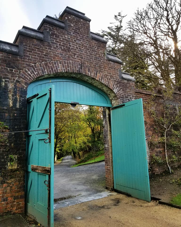 22310256_10155878246788885_8955152693836019242_n