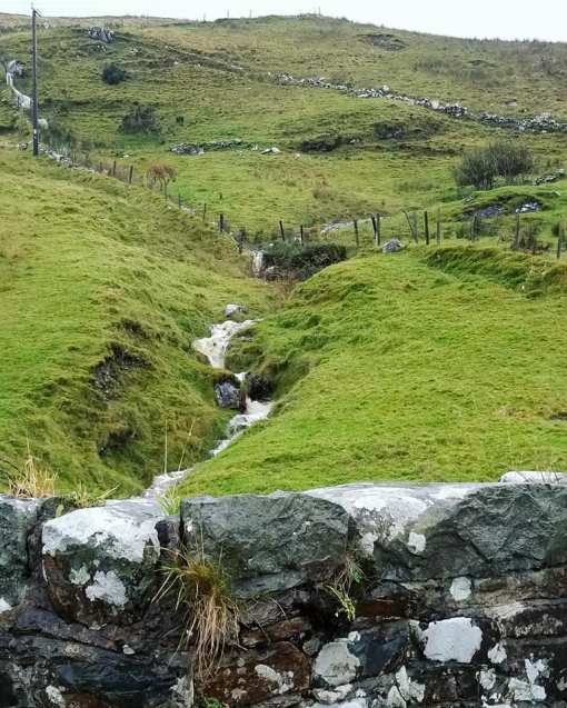 22539909_10155888492773885_7492967130302665171_n