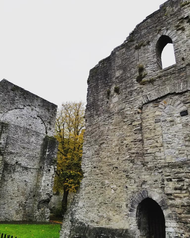 22554746_10155888482038885_6554254732201200226_n