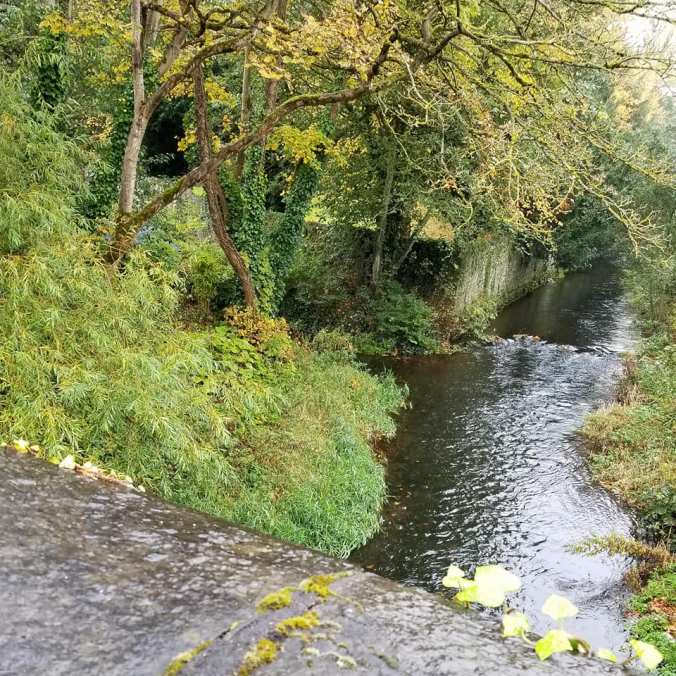 22730372_10155888481778885_5761036223808798097_n