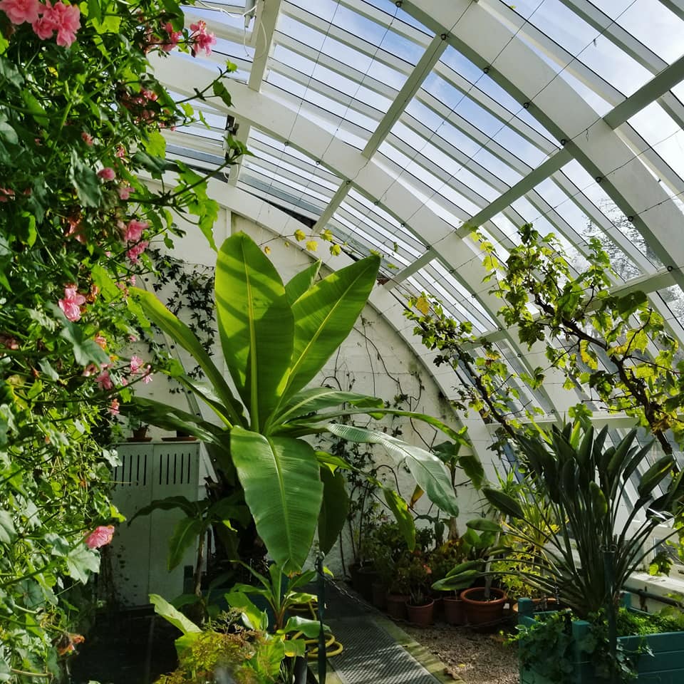 23032374_10155928200588885_2083669853060928448_n