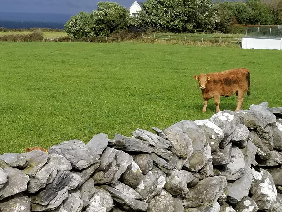 23130846_10155928203413885_1588812351709791632_n