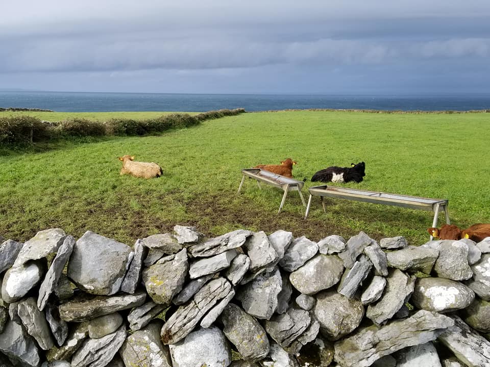 23130856_10155928203093885_6448240291830670171_n