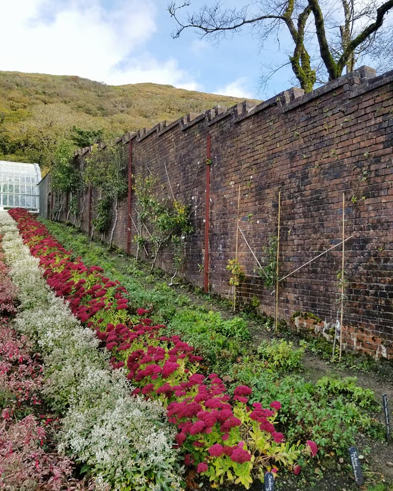 23172462_10155928200168885_3470670744489411967_n