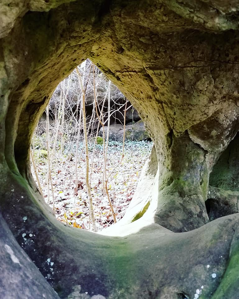 29025874_10156303528553885_4849183038287904768_n