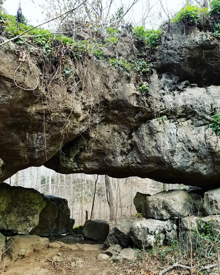 29026097_10156303528903885_2601214112092389376_n