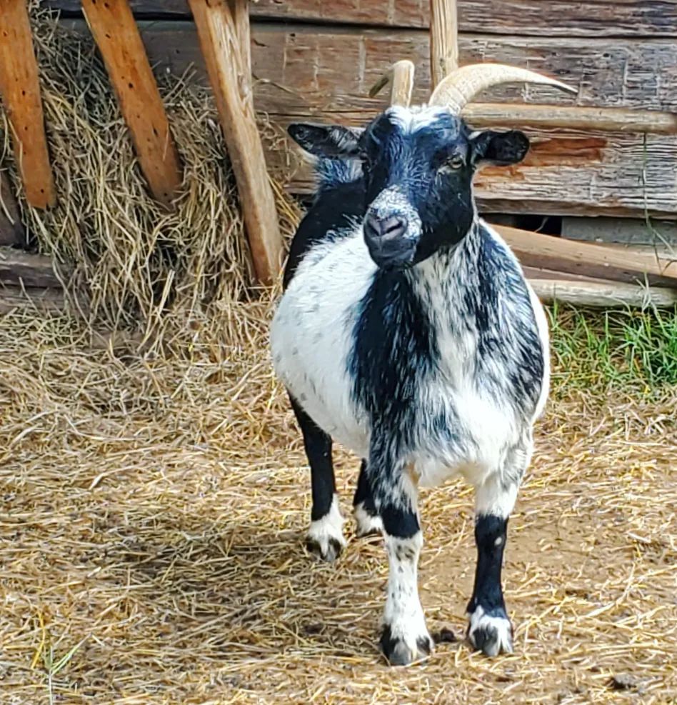 306329578_569418084960969_5705810113356572885_n