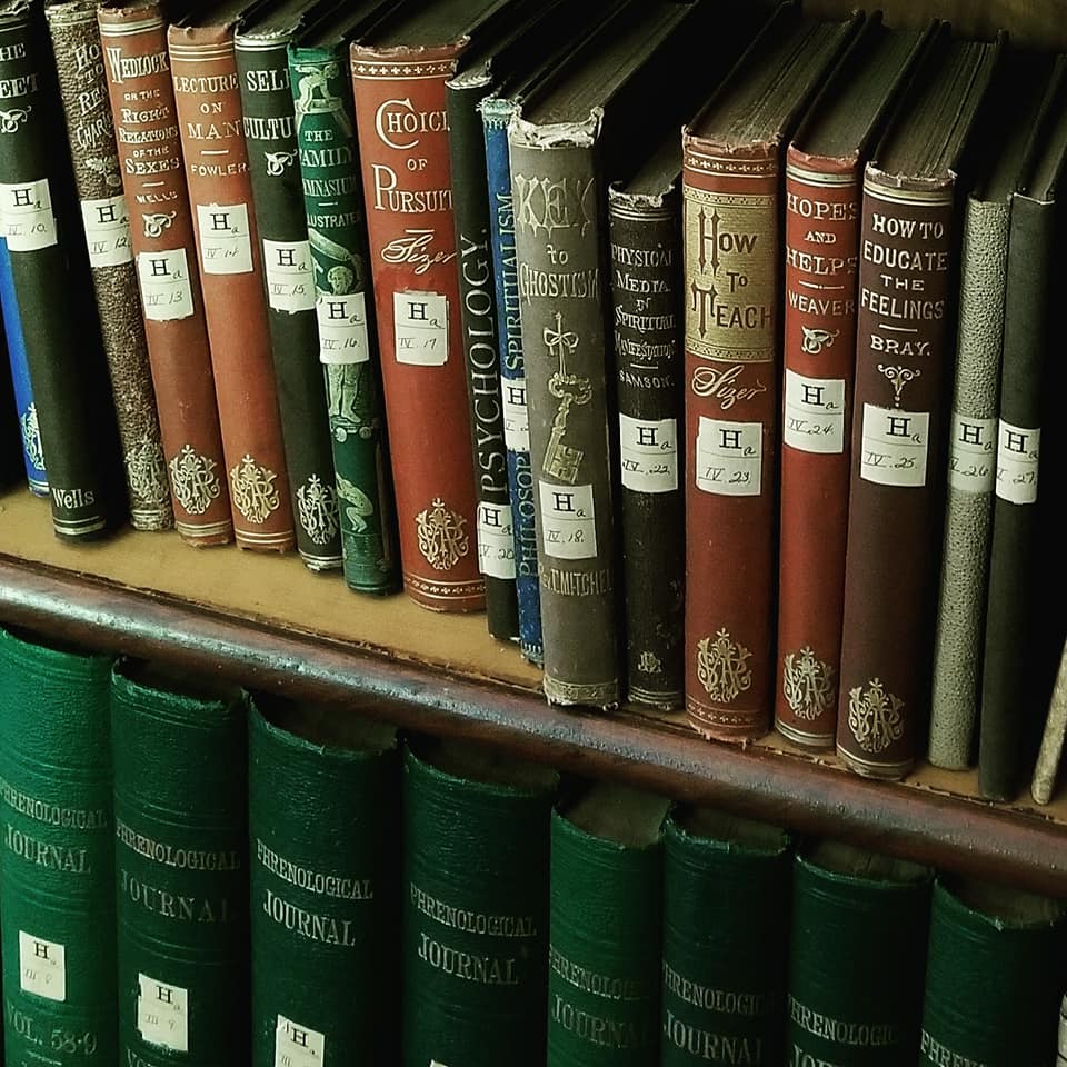 35416753_10156565430408885_4227624016979951616_n