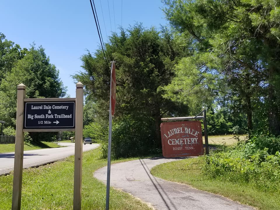 35435953_10156568447608885_1805863632903340032_n