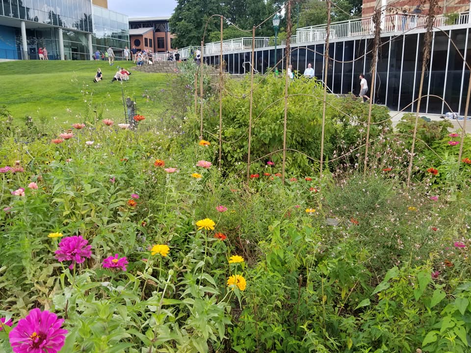 40594057_10156772708323885_1234123590824099840_n