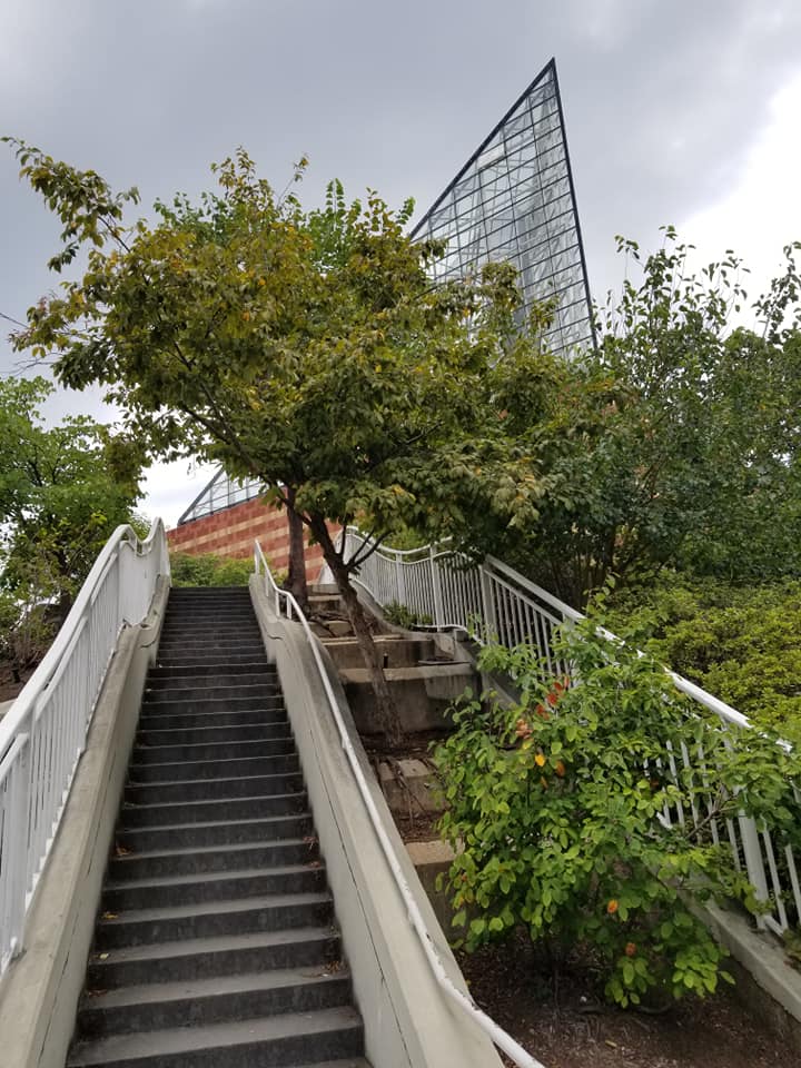 40597581_10156772708458885_9078437579472240640_n