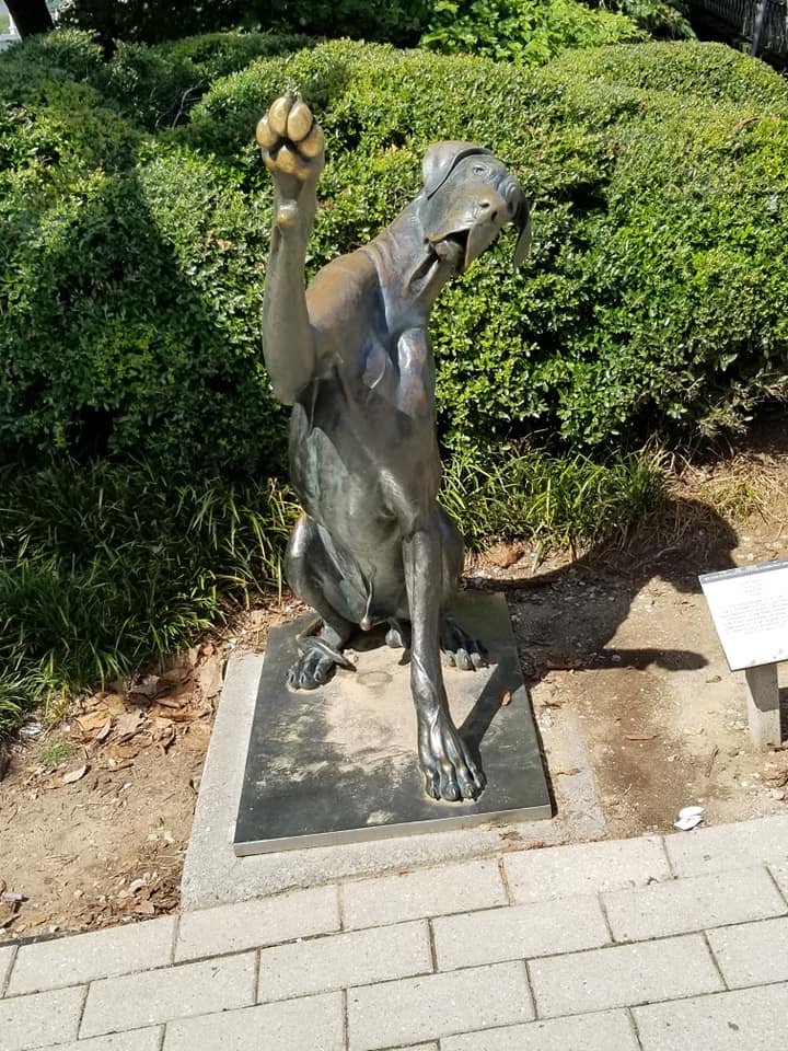 40626181_10156772704773885_1768888388301094912_n