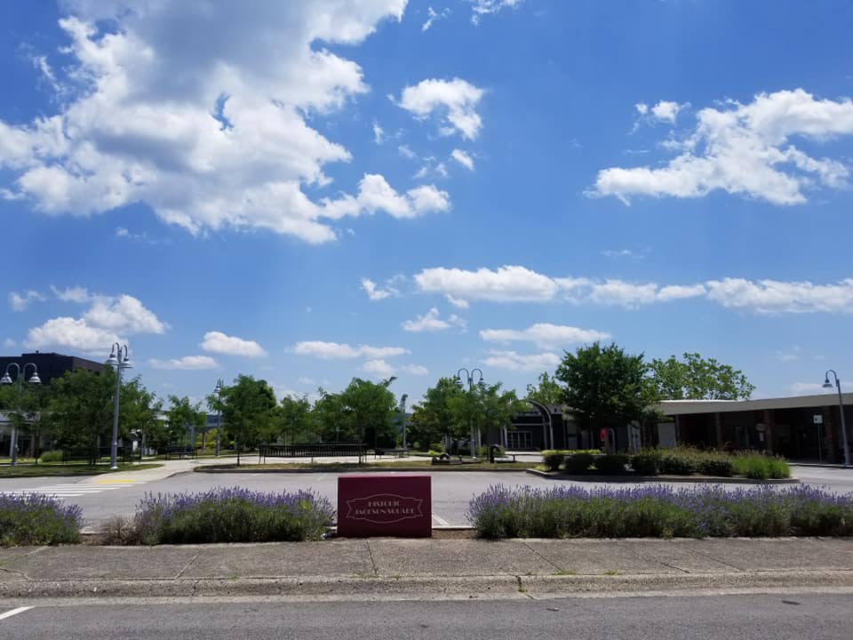 61183354_10157455130023885_2359137686431727616_n