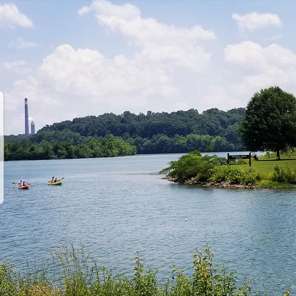 61822660_10157455143868885_882130181735579648_n