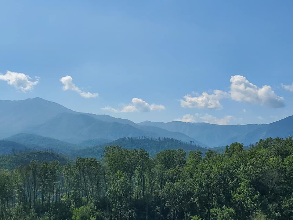 117444630_10158896853268885_370792458075108138_n