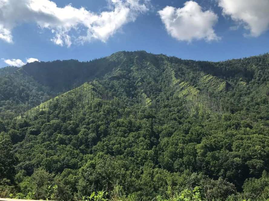 117706751_10158904695053885_4211498939373897080_n