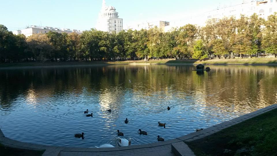 12109000_10153739968738885_6034293176535364914_n